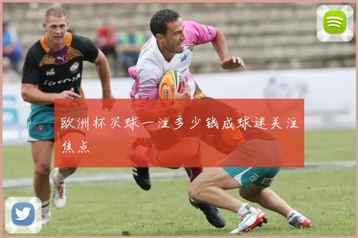 欧洲杯买球一注多少钱成球迷关注焦点
