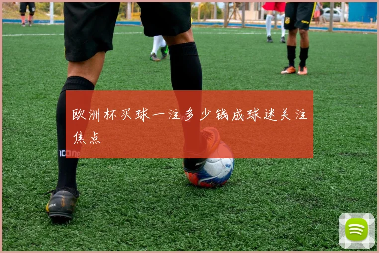 欧洲杯买球一注多少钱成球迷关注焦点