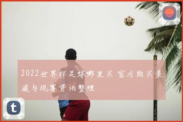 2022世界杯足球哪里买 官方购买渠道与观赛资讯整理